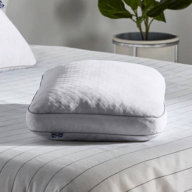 Sealy down alternative clearance and memory foam pillow